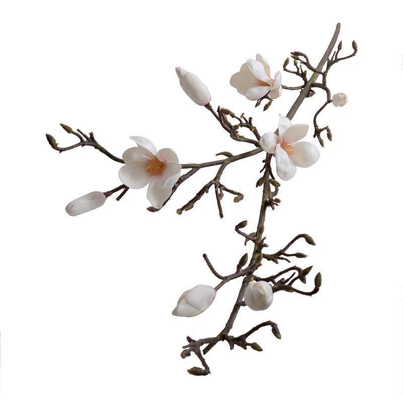 Nuovi progetti di crescita, Ramo di magnolia