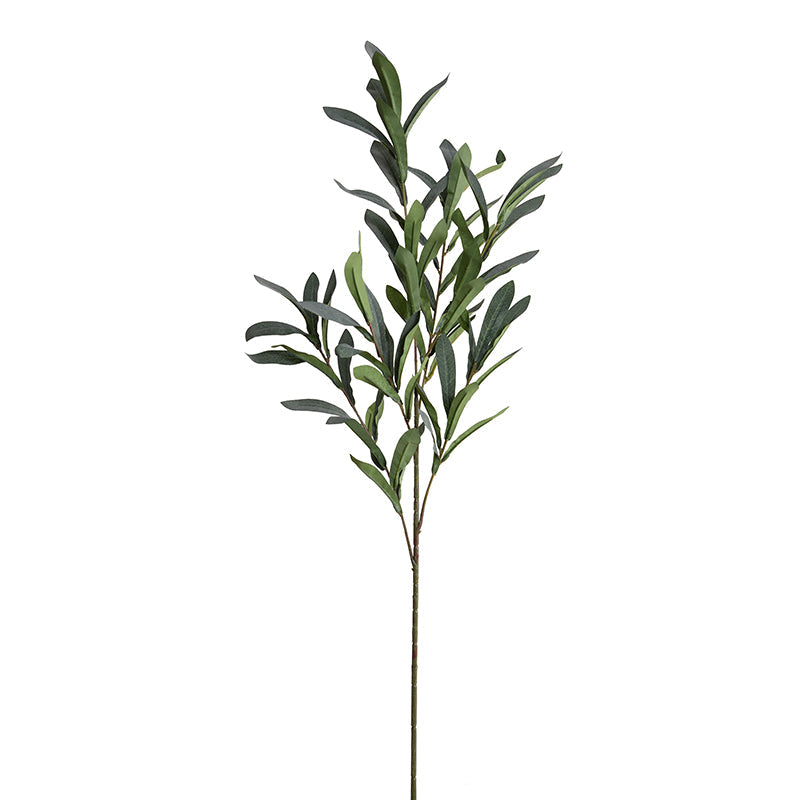 Nuovi progetti di crescita, Stelo in foglie d'ulivo, 33,5" L